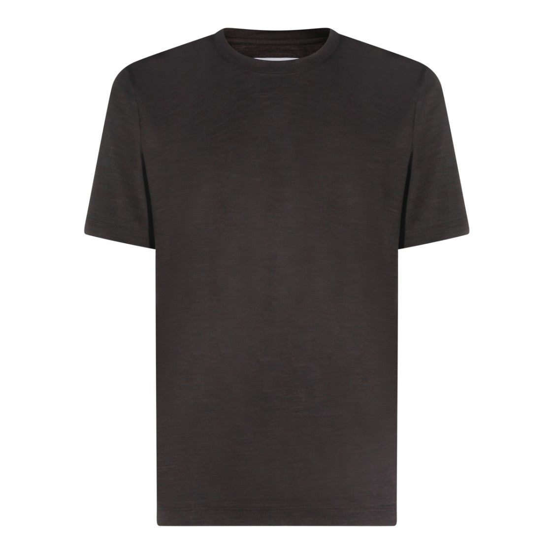 Marco Pescarolo Short-Sleeved Brown Crew Neck T-Shirt With Aesthetic