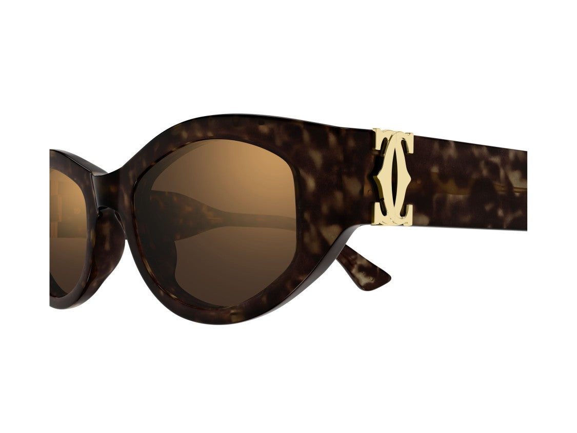 Cartier Tortoiseshell Ct0667s Bold Oversized Cat-Eye Sunglasses