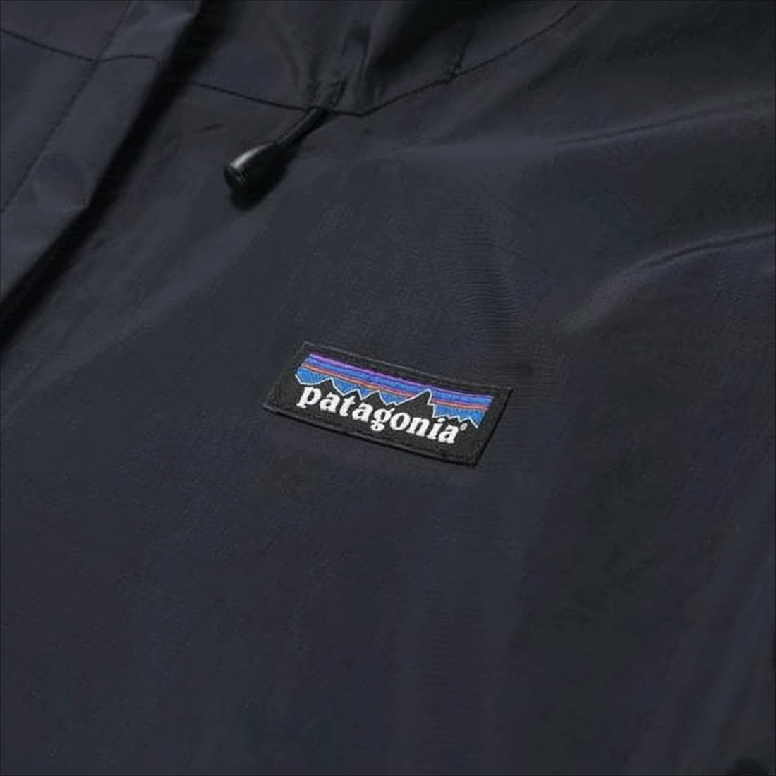 Patagonia Sleek Minimalist Black Jacket With Hood And Practical Features