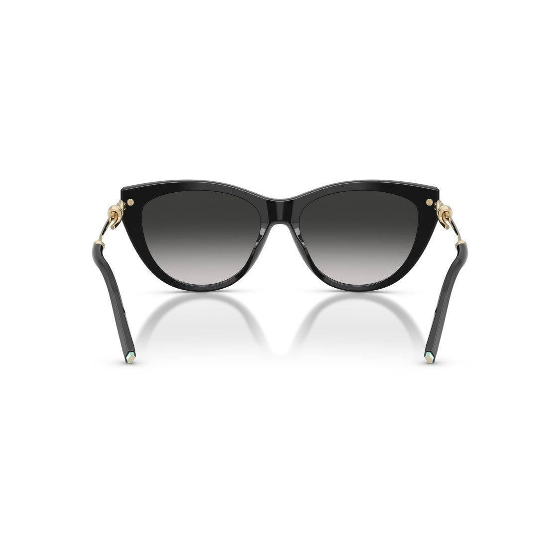 Tiffany & Co. 0Tf4253 Cat-Eye Sunglasses