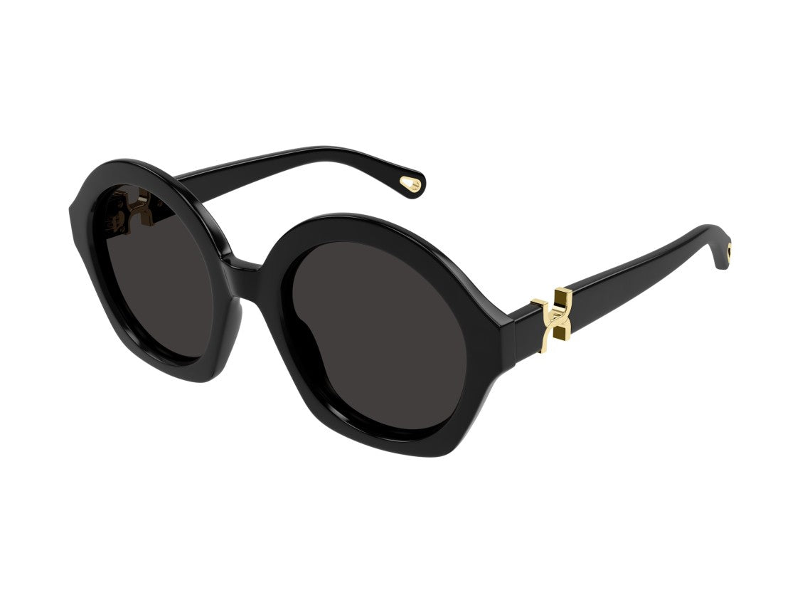 Chloé Black Ch0302s Acetate Round Sunglasses