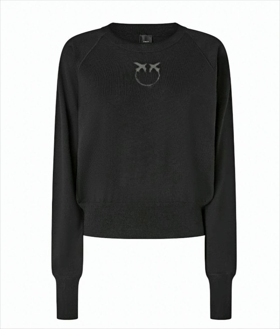 Pinko Crew Neck Merino Wool Sweater