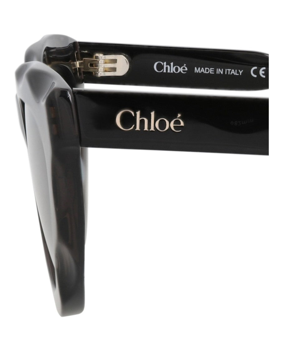 Chloé Cat Eye-Frame Recycled Acetate Sunglasses