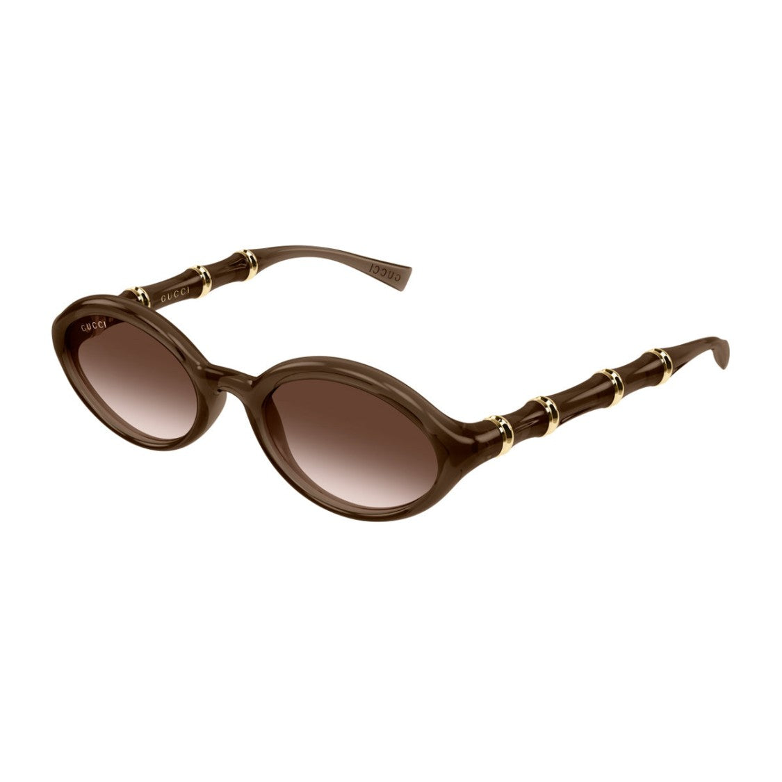 Gucci Brown Sign Injected Sunglasses