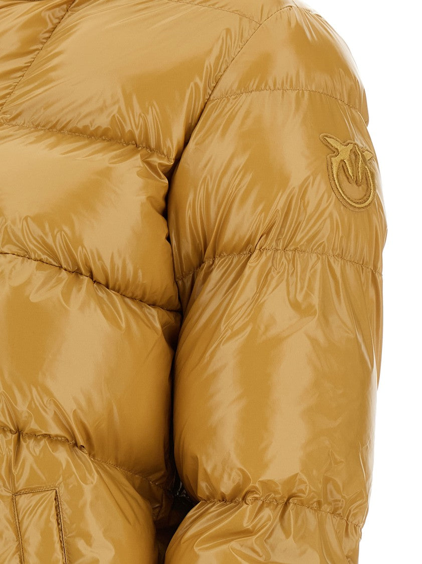Pinko Eleodoro' Down Jacket