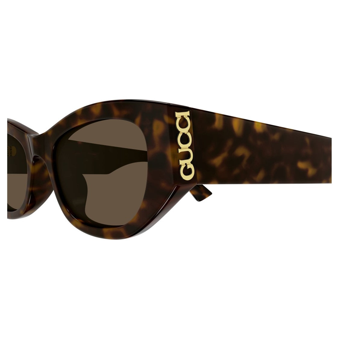 Gucci Gg2044sa Oversized Cat-Eye Sunglasses