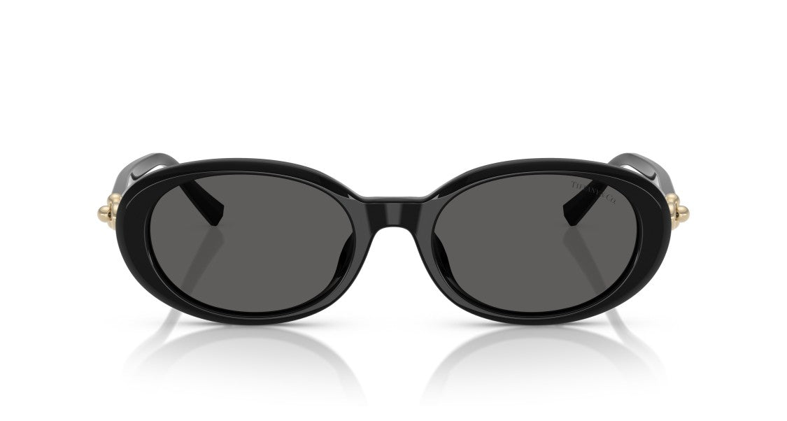 Tiffany & Co. 0Tf4242d Large Round Black Acetate Sunglasses