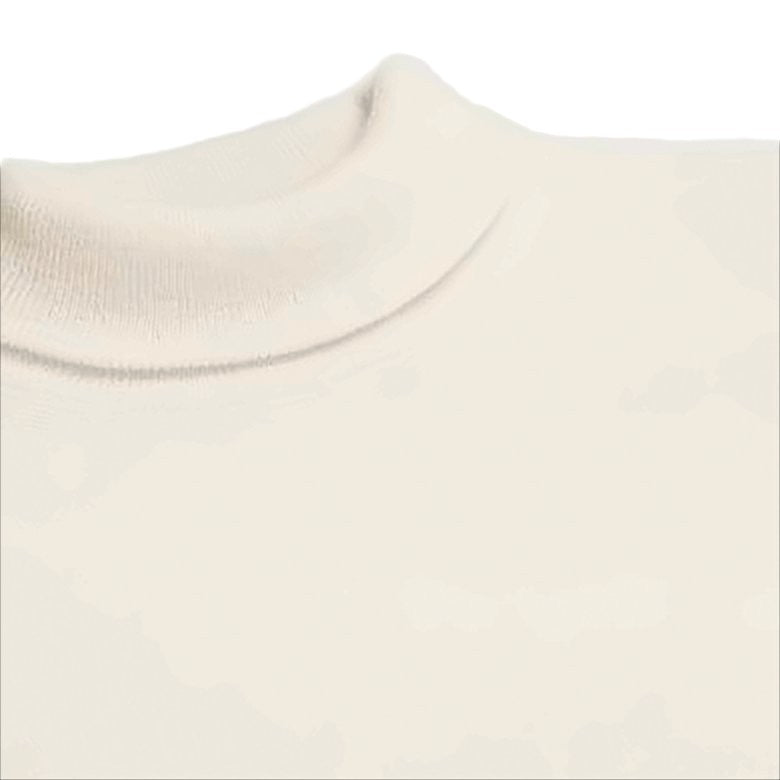 Celine Minimalist Sleeveless Wool Blend Turtleneck Top