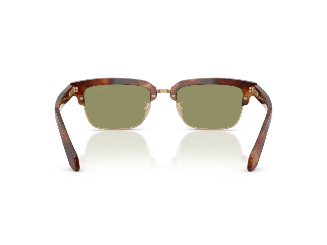 Giorgio Armani Gold 0Ar8243 Tortoiseshell Acetate Sunglasses