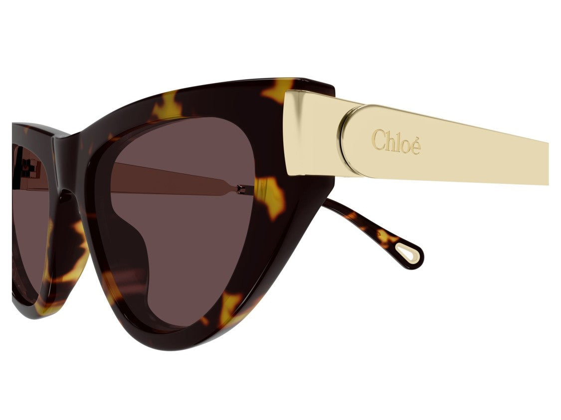 Chloé Tortoiseshell Ch0350s Cat-Eye Sunglasses
