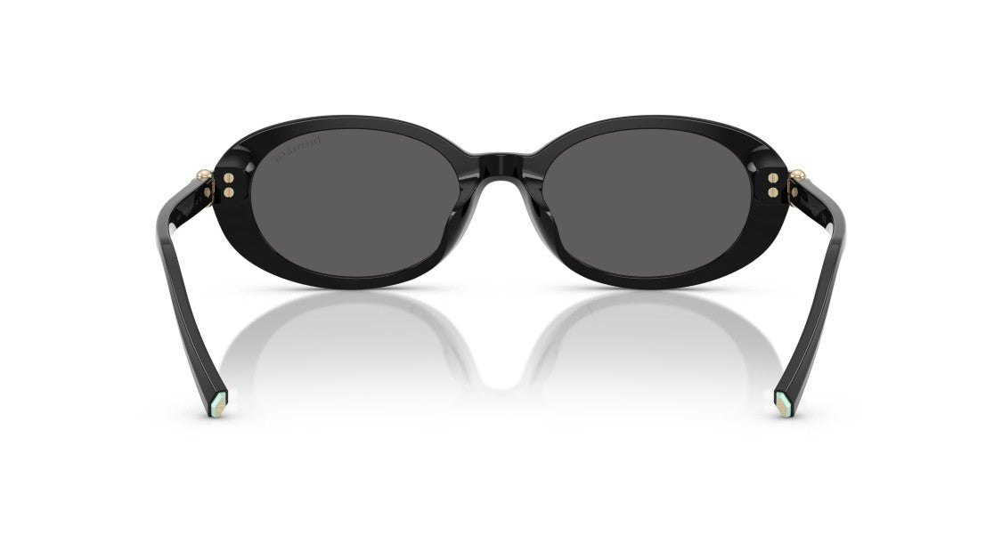 Tiffany & Co. 0Tf4242d Large Round Black Acetate Sunglasses