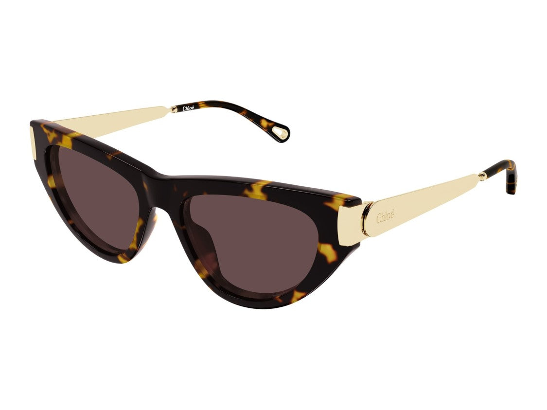 Chloé Tortoiseshell Ch0350s Cat-Eye Sunglasses