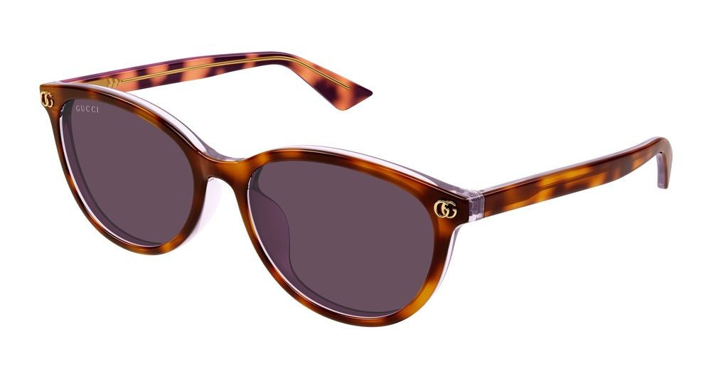 Gucci Havana Violet Tinted Lenses Oversized Round Sunglasses