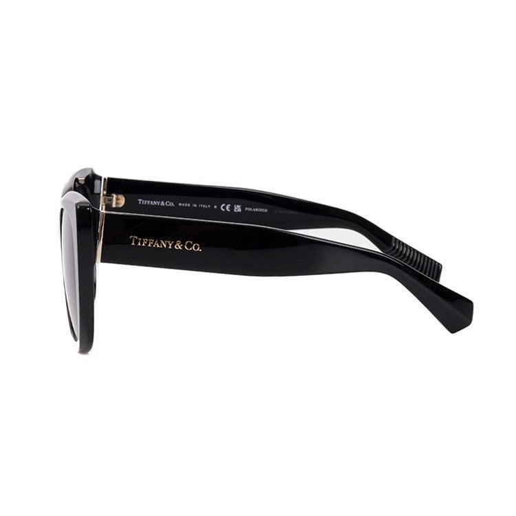 Tiffany & Co. Bold Square Frame Black Acetate Sunglasses