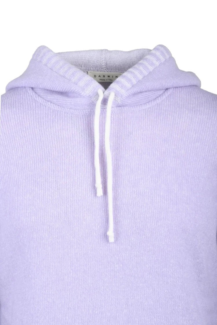Darwin Wisteria Virgin Wool Men's Hooded Sweater