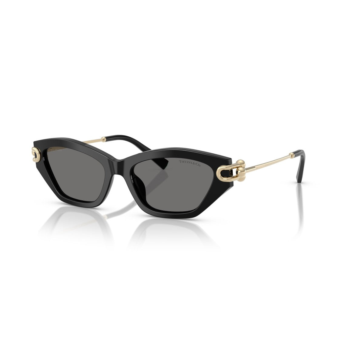 Tiffany & Co. 0Tf4231u Cat-Eye Sunglasses