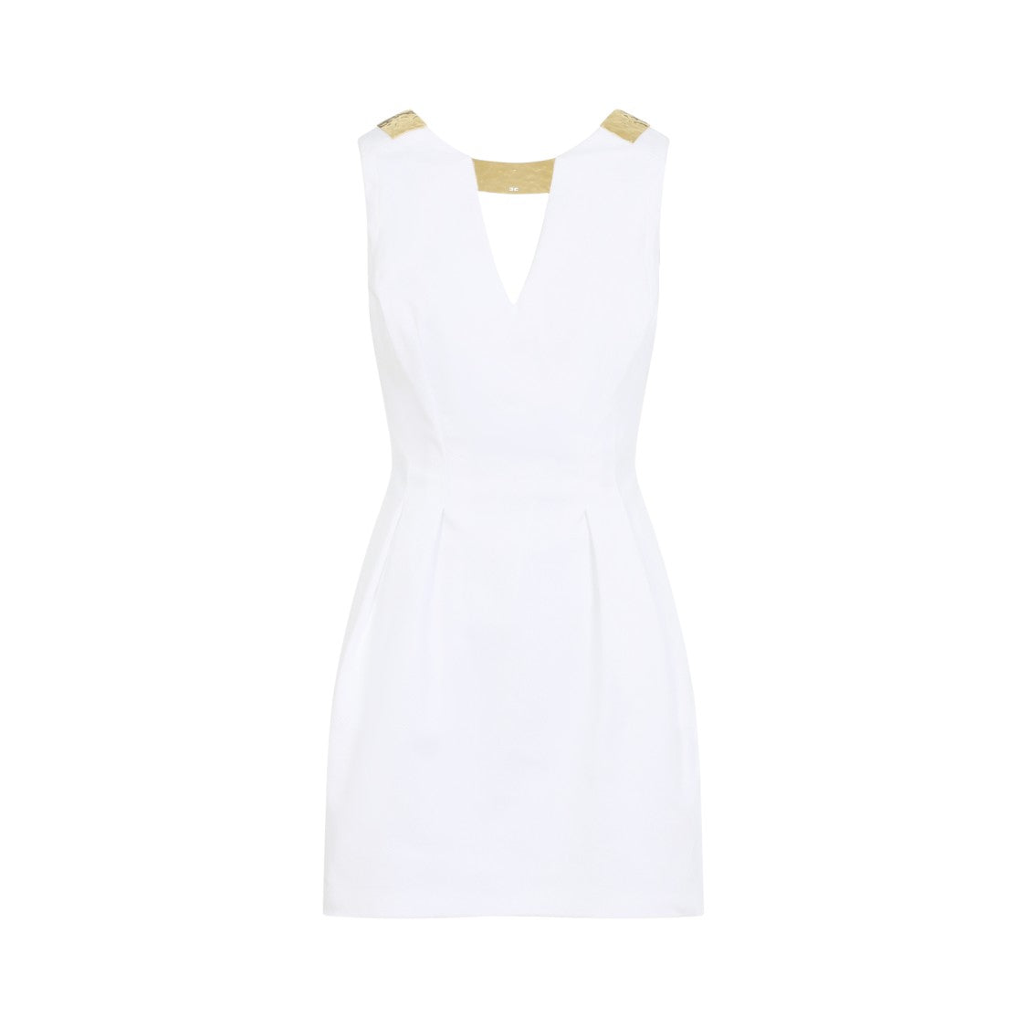 Elisabetta Franchi Sleeveless Mini Dress With Deep V-Neckline And Metallic Accents