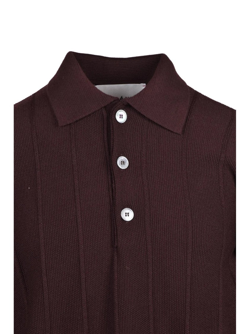 Amaranto Brown Wool Ribbed Knit Polo Shirt