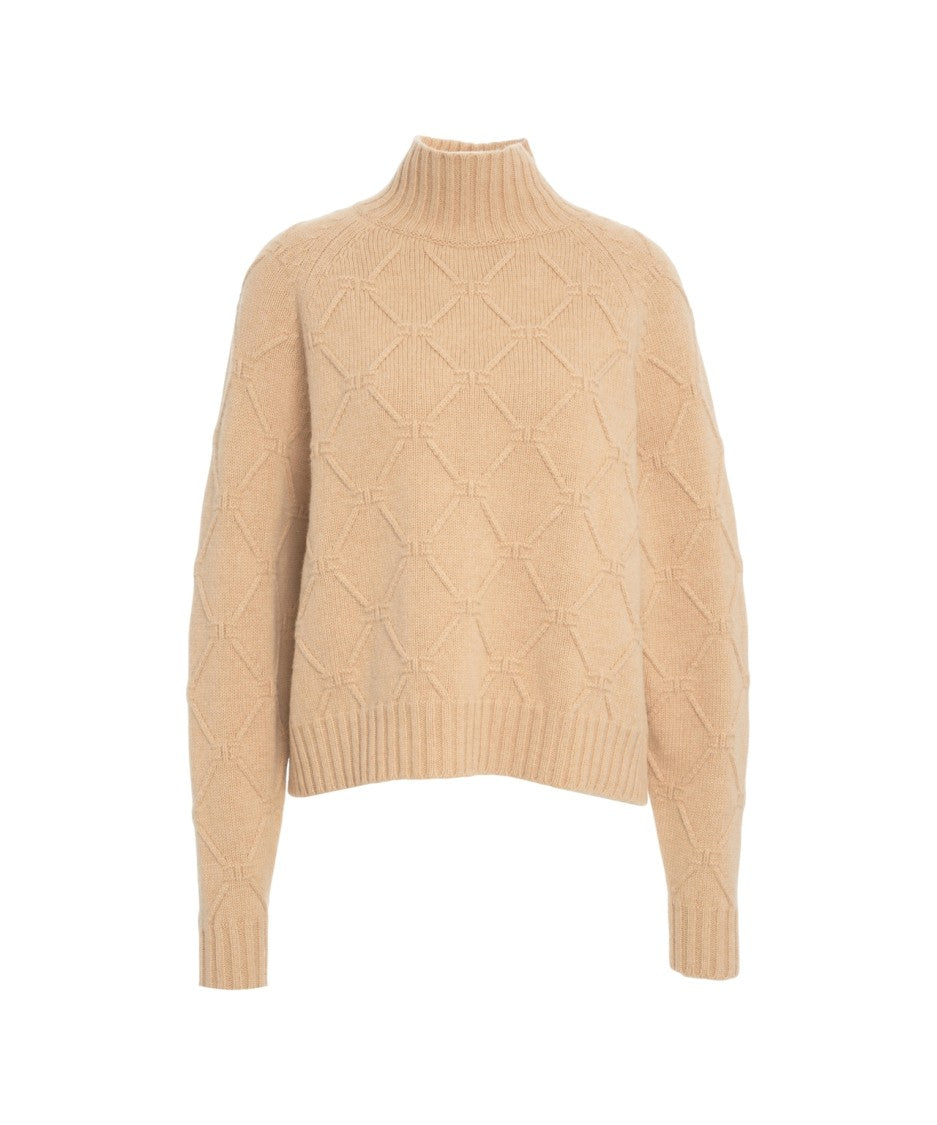 Elisabetta Franchi High Collar Knitted Sweater