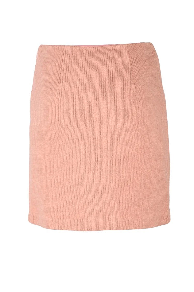 Elisabetta Franchi Knit Skirt - Pink