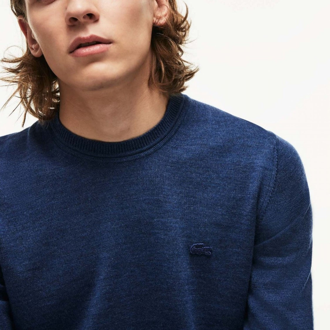 Lacoste Classic Crew Neck Sweater