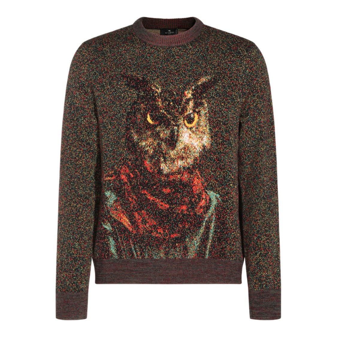 Etro Artistic Owl Face Textured Knit Sweater