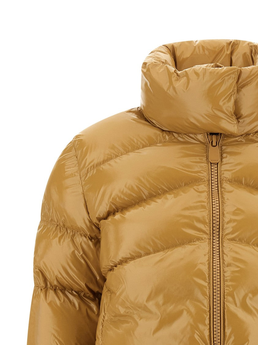 Pinko 'Mirco' Down Jacket