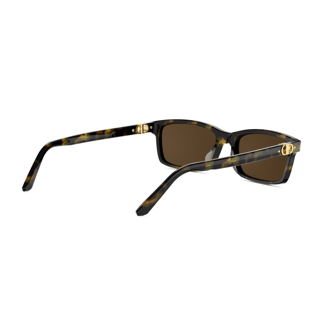 Dior Havana Petit Cd S1i Rectangular Sunglasses