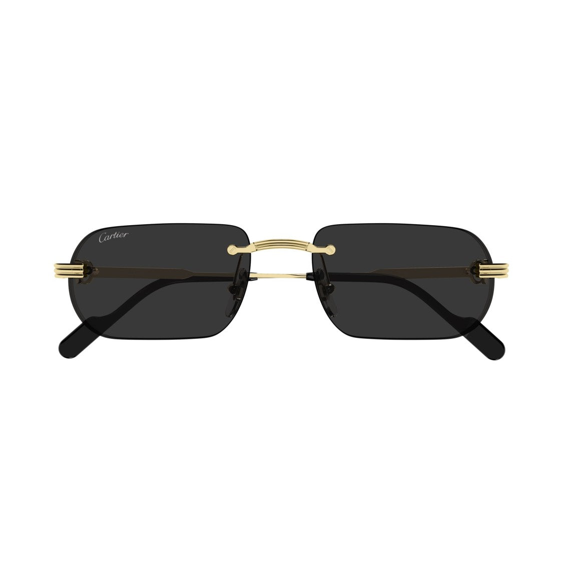 Cartier Ct0577s Rimless Rectangular Sunglasses