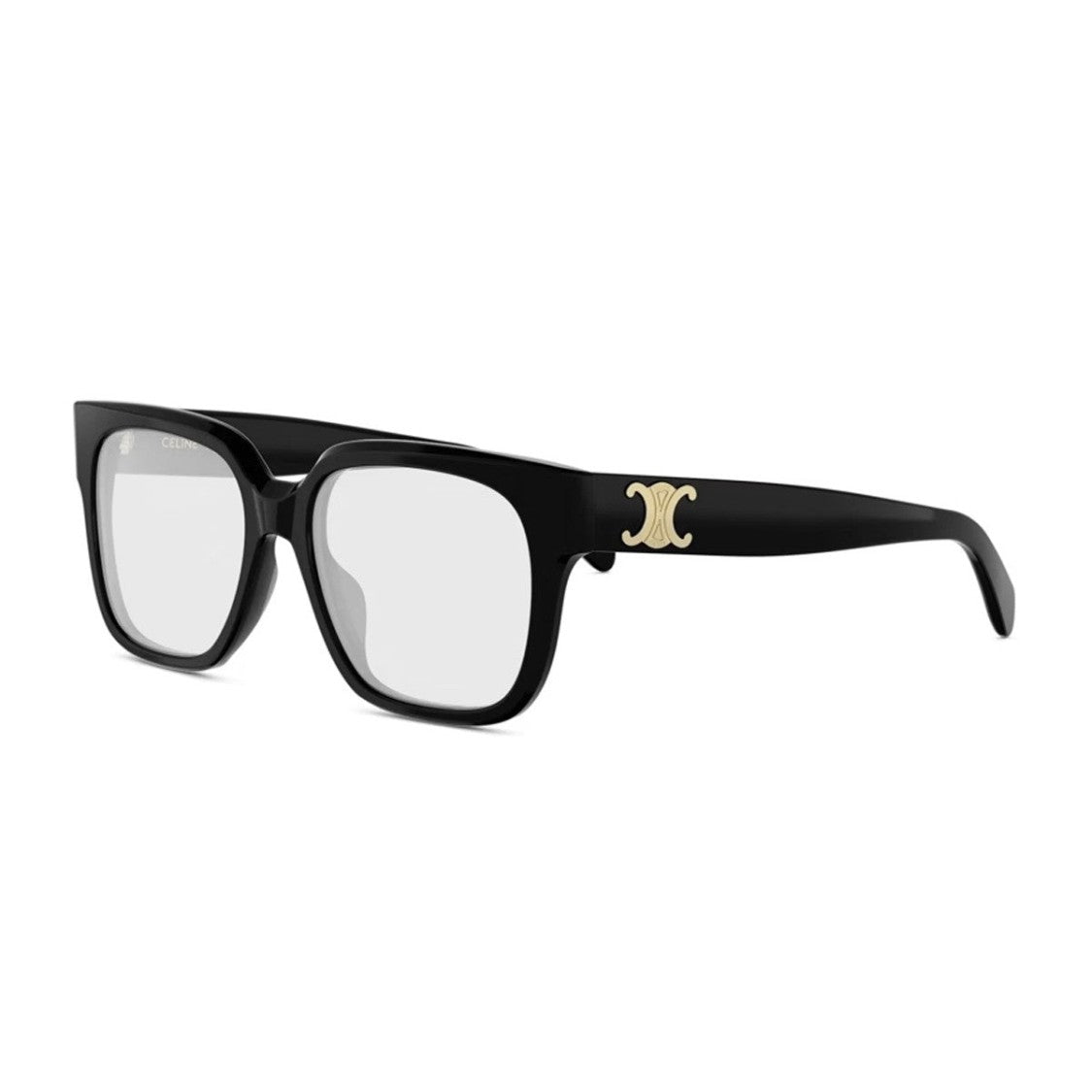 Celine Black Triomphe Acetate Square Sunglasses