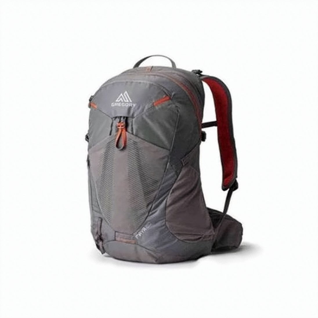 Gregory Structured Grey Backpack With Multiple Compartments