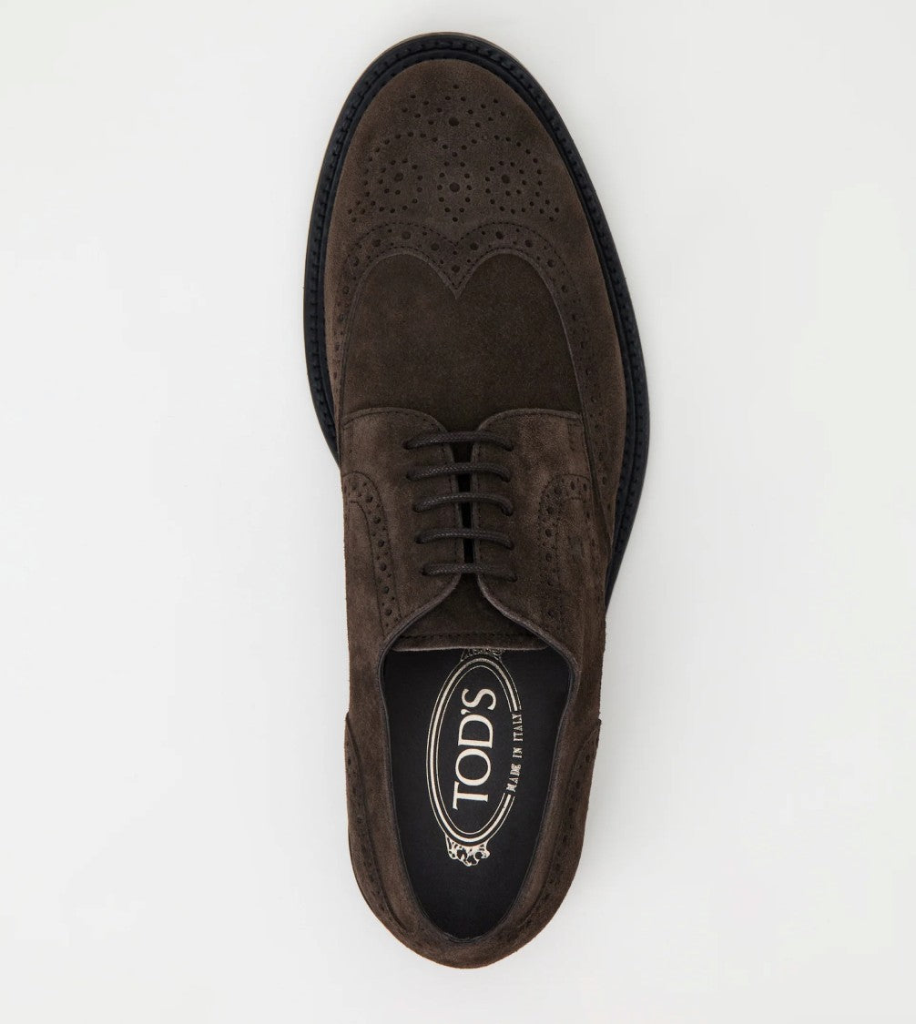 Tod's Lace-Up Wingtip Shoes In Suede