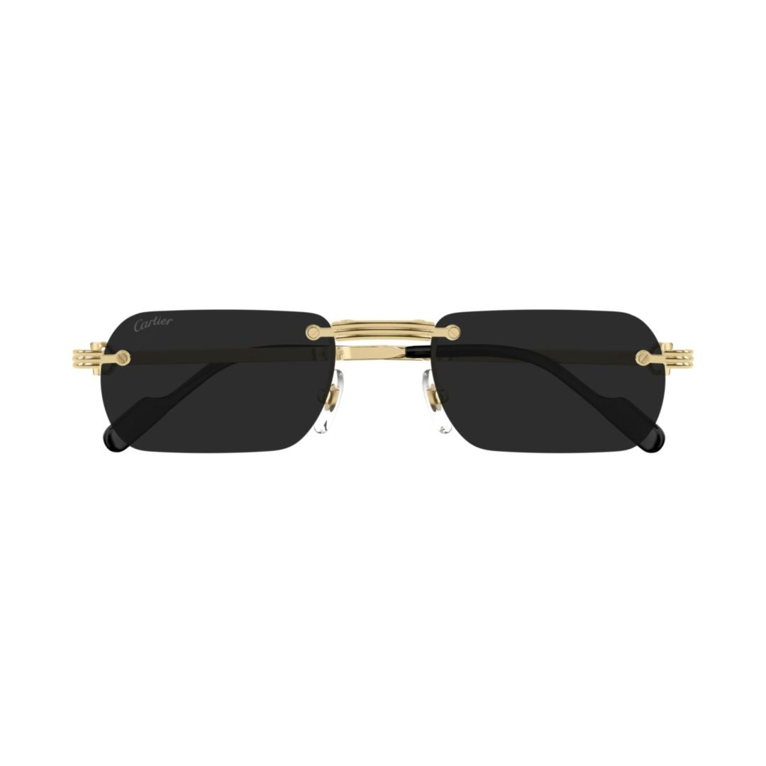 Cartier Gold Ct0499s Rectangular Frame Sunglasses