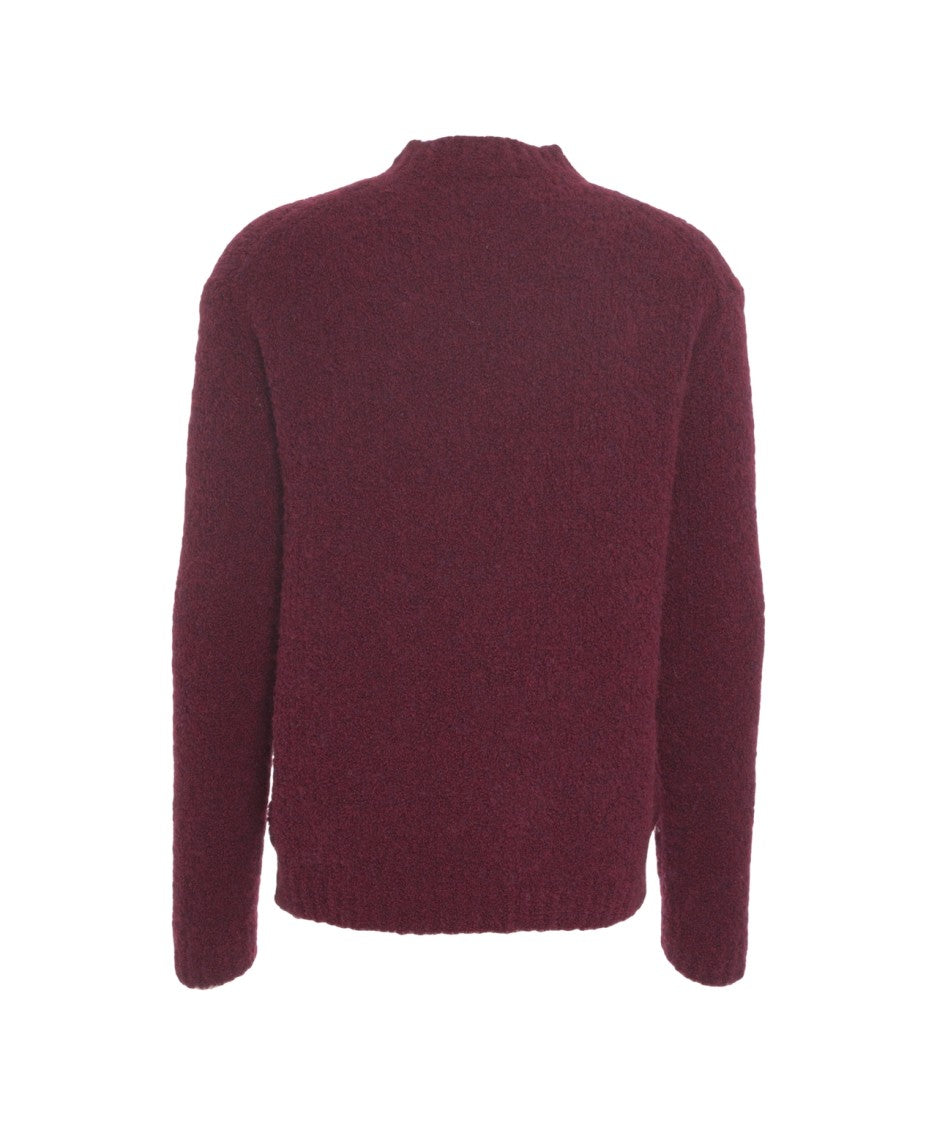Amaranto Textured Knit Pullover With Modern High Collar