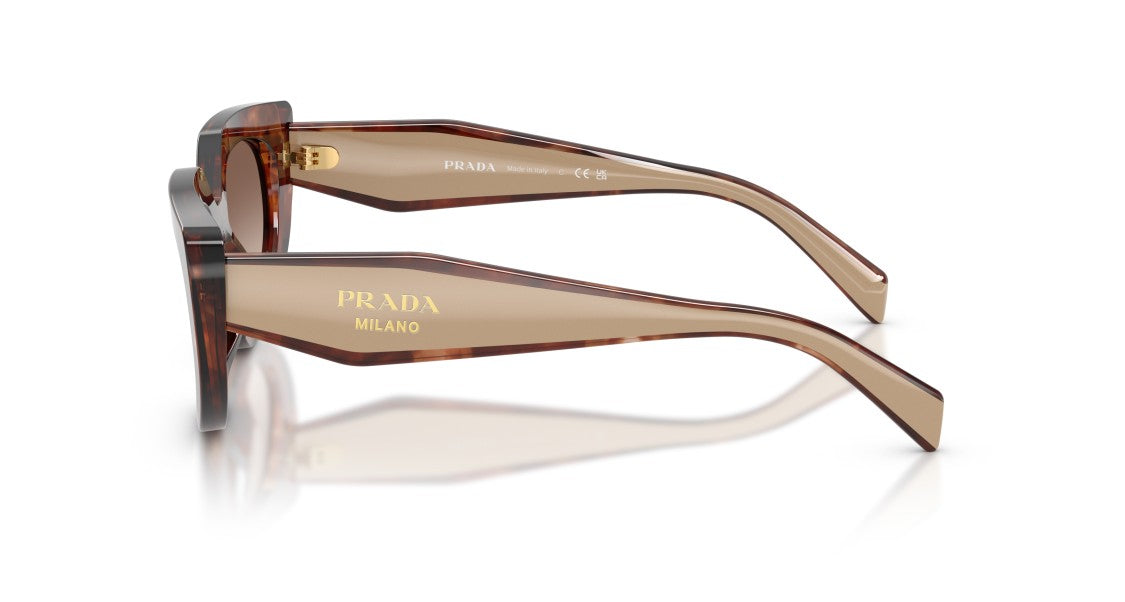 Prada 0Pr D02s Oversized Cat-Eye Sunglasses