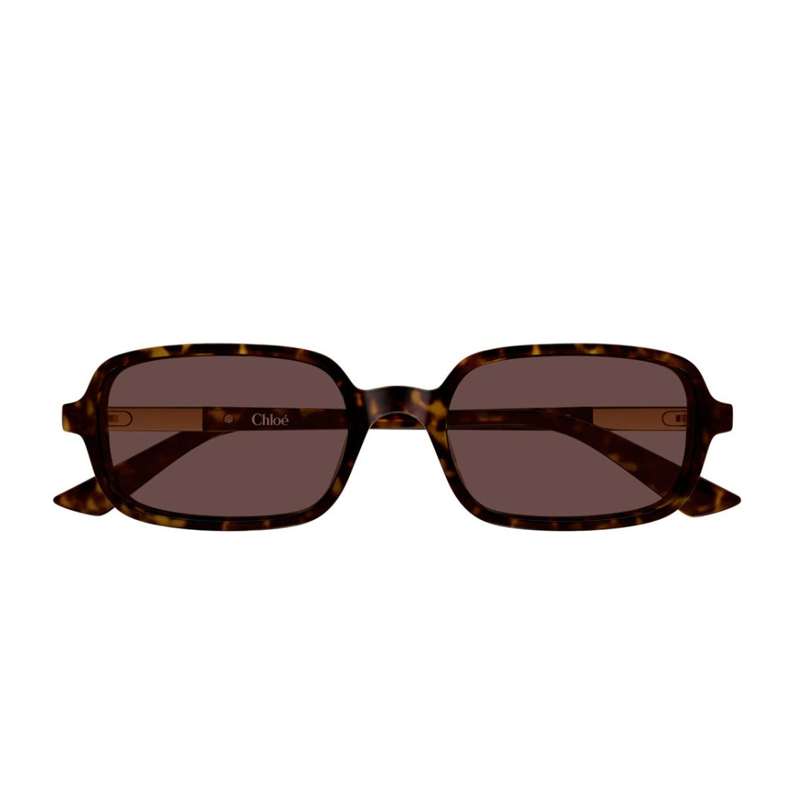 Chloé Havana Ch0363s Rectangular Acetate Sunglasses