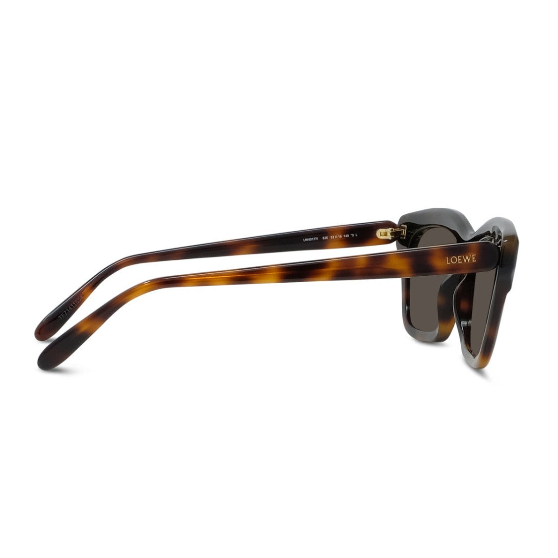 Loewe Havana Black Slim Bicolor Cat-Eye Sunglasses