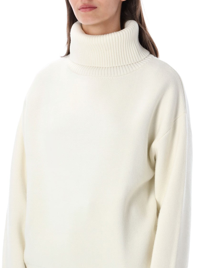 Rhea Thick Ribbed Relaxed Silhouette Turtleneck Sweater