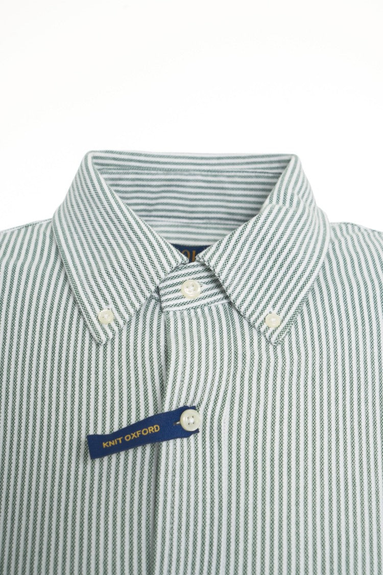 Polo Ralph Lauren Striped Oxford Shirt