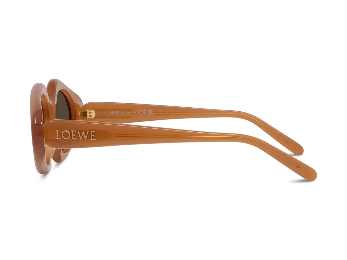Loewe Glossy Lw40185i Oversized Cat-Eye Acetate Sunglasses