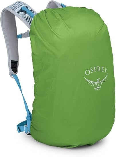 Osprey Streamlined Backpack With Padded Shoulder Straps