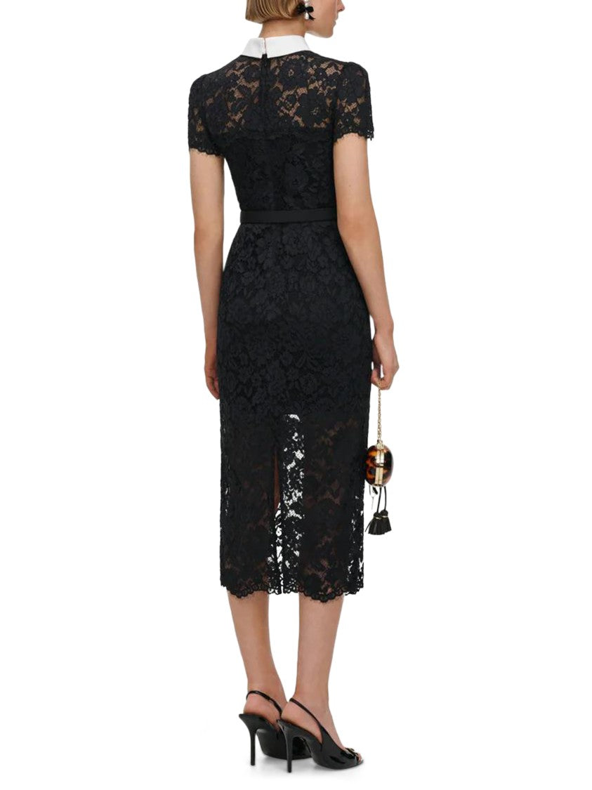 Self-Portrait Intricate Black Lace Midi Dress With Contrast Collar