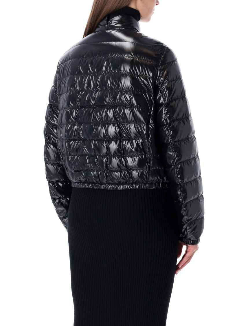 Moncler X Edward Enninful Knut Short Glossy Down Jacket