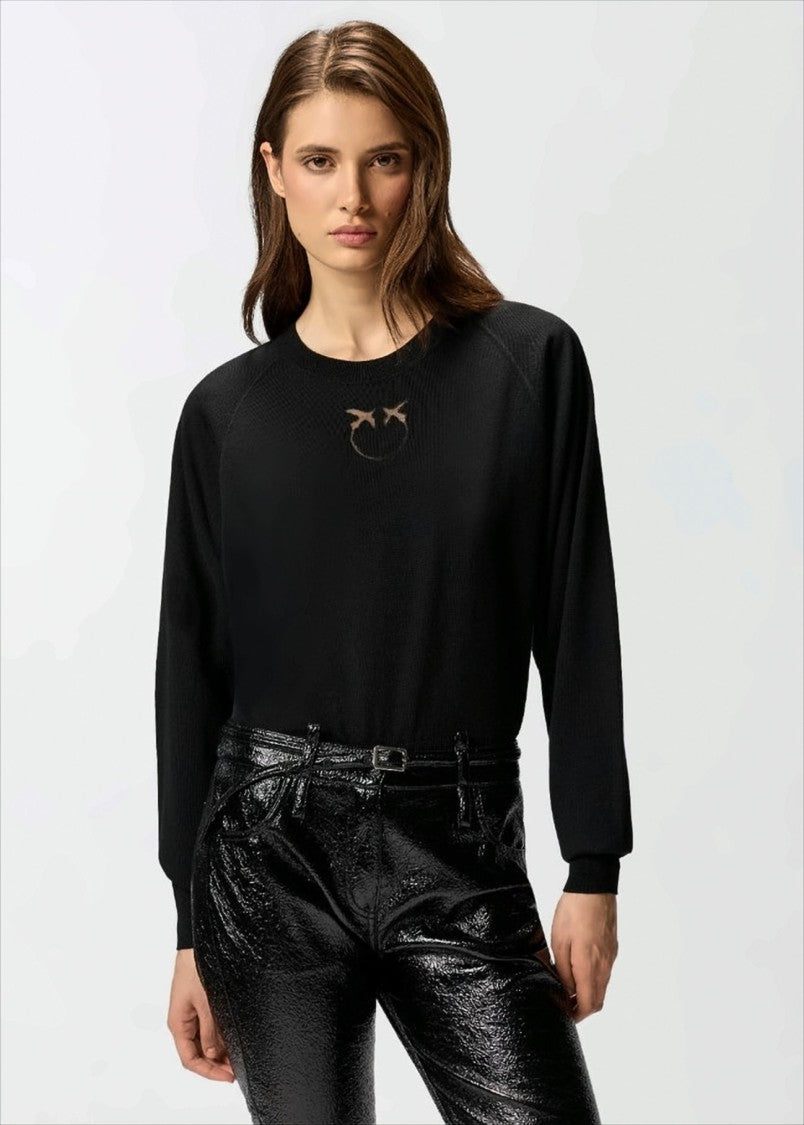 Pinko Crew Neck Merino Wool Sweater