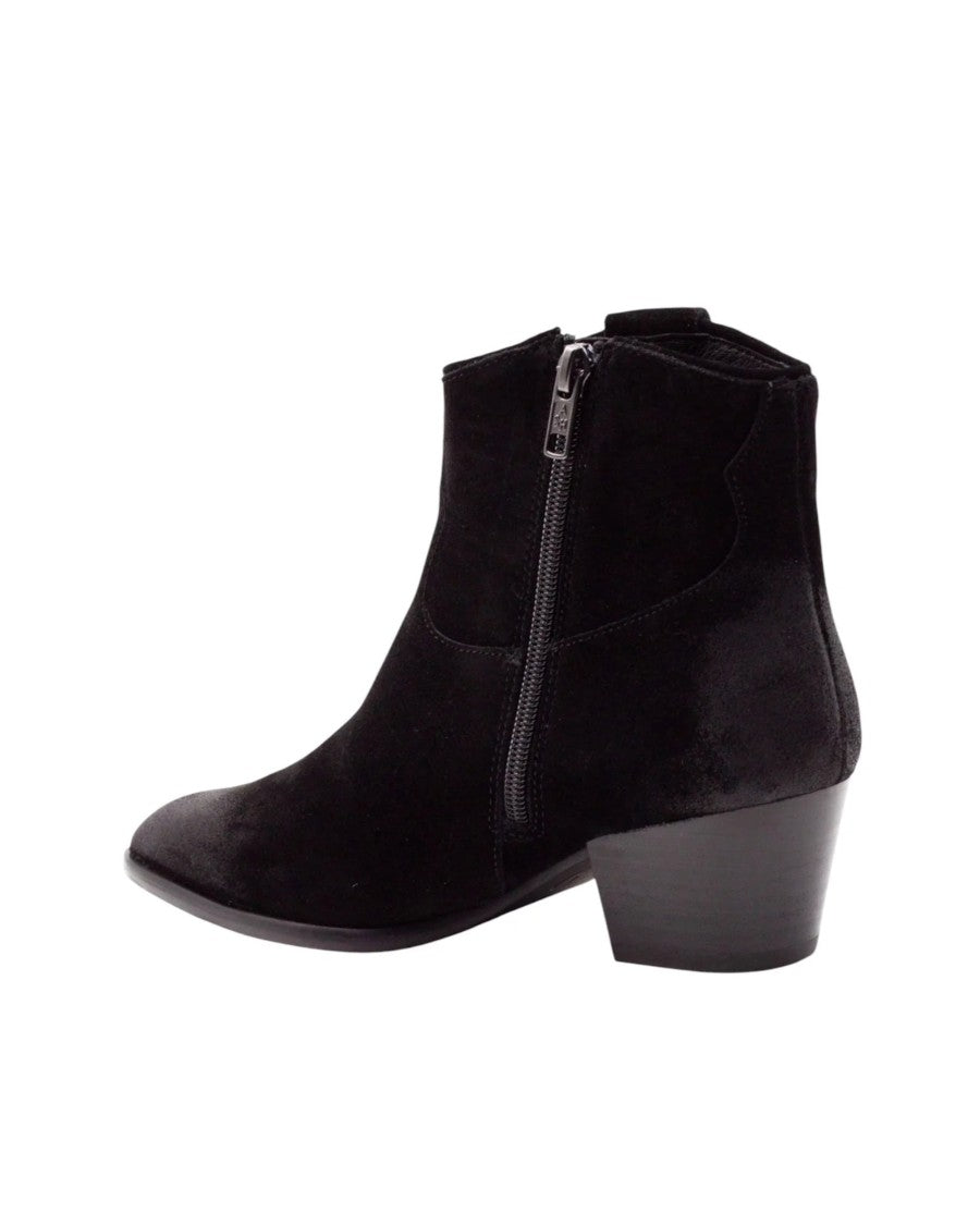 Ash Dark Brown Suede Zip Ankle Boots