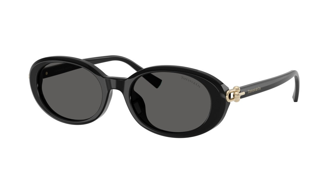 Tiffany & Co. 0Tf4242d Large Round Black Acetate Sunglasses