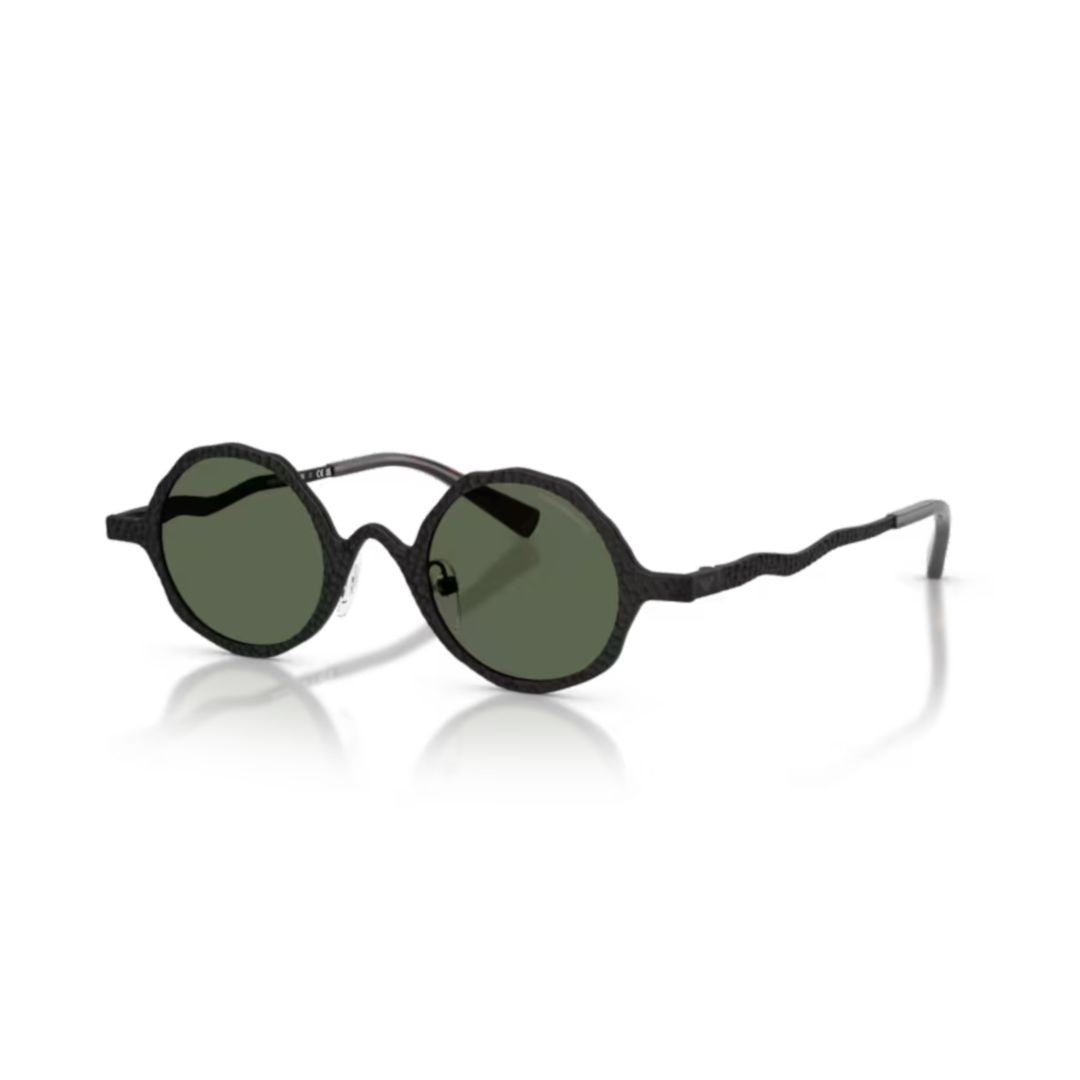 Emporio Armani 0Ea2166 Round Metal Frame Sunglasses With Textured Temples