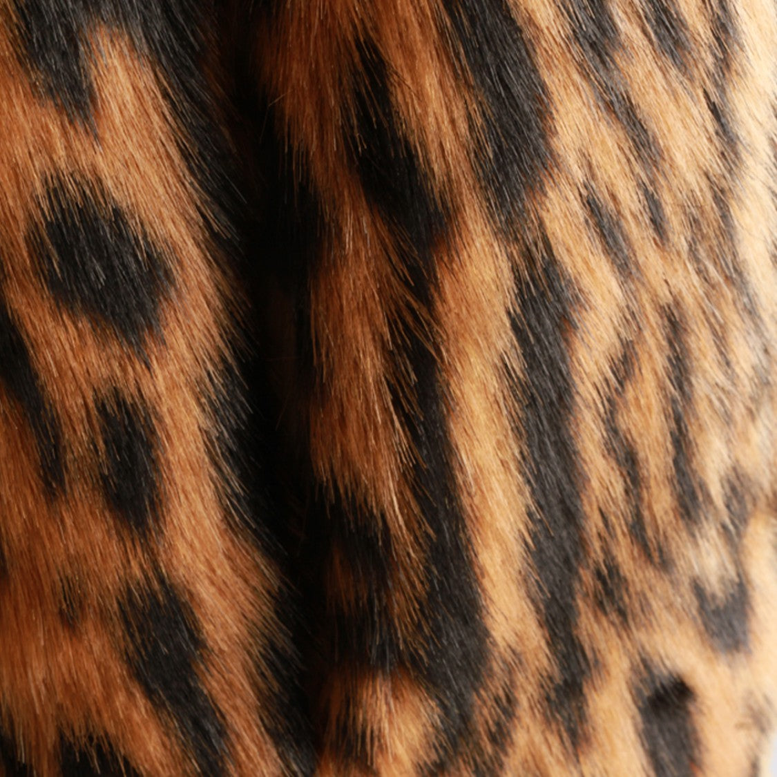 Roberto Cavalli Short Animal Print Coat With Classic Collar