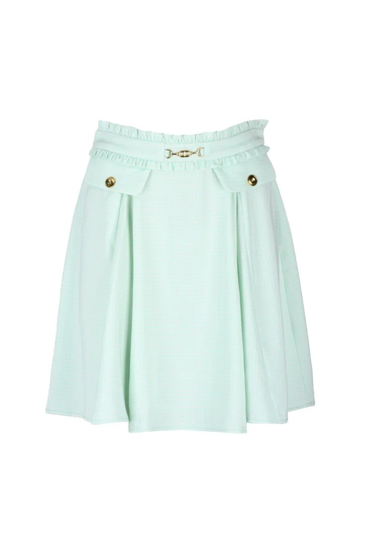 Elisabetta Franchi A-Line Skirt - Aquamarine