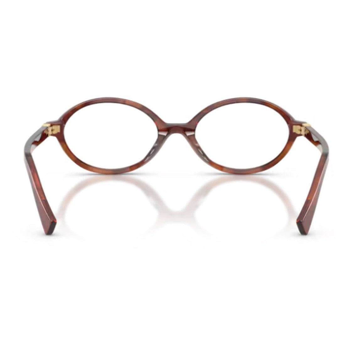 Miu Miu Tobacco 01Xv Miu Regard Oval Acetate Eyeglasses